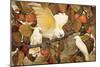 Persimmons and Cockatoos-Jesse Arms Botke-Mounted Art Print