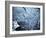 Persistance-Doug Chinnery-Framed Photographic Print
