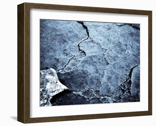 Persistance-Doug Chinnery-Framed Photographic Print