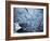 Persistance-Doug Chinnery-Framed Photographic Print