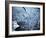 Persistance-Doug Chinnery-Framed Photographic Print