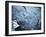 Persistance-Doug Chinnery-Framed Photographic Print