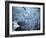 Persistance-Doug Chinnery-Framed Photographic Print