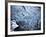 Persistance-Doug Chinnery-Framed Photographic Print