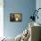 Person in Abandoned House, Kolmanskop Ghost Town, Namibia-David Wall-Framed Premier Image Canvas displayed on a wall