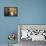 Person in Abandoned House, Kolmanskop Ghost Town, Namibia-David Wall-Framed Premier Image Canvas displayed on a wall