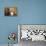 Person in Abandoned House, Kolmanskop Ghost Town, Namibia-David Wall-Framed Premier Image Canvas displayed on a wall