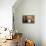 Person in Abandoned House, Kolmanskop Ghost Town, Namibia-David Wall-Framed Premier Image Canvas displayed on a wall