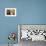 Person in Abandoned House, Kolmanskop Ghost Town, Namibia-David Wall-Framed Photographic Print displayed on a wall