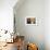 Person in Abandoned House, Kolmanskop Ghost Town, Namibia-David Wall-Framed Photographic Print displayed on a wall