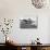 Person in Canoe by Natural Jetty in Bay-Alfred Eisenstaedt-Photographic Print displayed on a wall