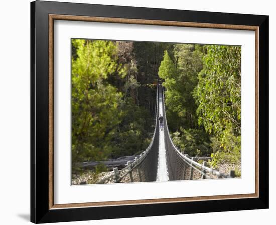 Person on Huon Swinging Bridge Over Huon River, Tahune Forest Reserve, Tasmania, Australia-David Wall-Framed Photographic Print