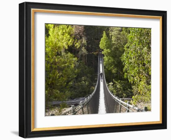 Person on Huon Swinging Bridge Over Huon River, Tahune Forest Reserve, Tasmania, Australia-David Wall-Framed Photographic Print