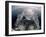 Person Sitting in a Boat-null-Framed Photographic Print