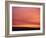 Person Watching the Sunset from Sand Dune on Coast, Oregon Dunes National Recreation Area, Oregon-Steve Terrill-Framed Photographic Print