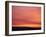 Person Watching the Sunset from Sand Dune on Coast, Oregon Dunes National Recreation Area, Oregon-Steve Terrill-Framed Photographic Print