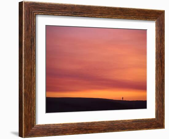 Person Watching the Sunset from Sand Dune on Coast, Oregon Dunes National Recreation Area, Oregon-Steve Terrill-Framed Photographic Print