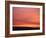 Person Watching the Sunset from Sand Dune on Coast, Oregon Dunes National Recreation Area, Oregon-Steve Terrill-Framed Photographic Print