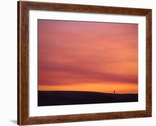 Person Watching the Sunset from Sand Dune on Coast, Oregon Dunes National Recreation Area, Oregon-Steve Terrill-Framed Photographic Print