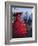 Person Wearing Masked Carnival Costume, Veneto, Italy-Bruno Morandi-Framed Photographic Print