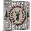 Personalized Christmas Sign V4-LightBoxJournal-Mounted Giclee Print