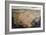 Perspective Map of Udine-Luca Carlevaris-Framed Giclee Print