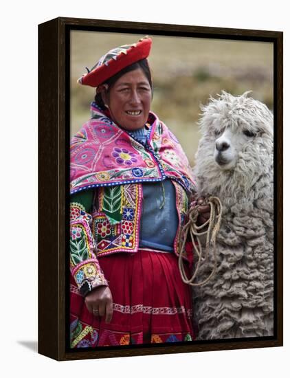 Peru, a Female with an Alpaca at Abra La Raya-Nigel Pavitt-Framed Premier Image Canvas