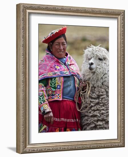 Peru, a Female with an Alpaca at Abra La Raya-Nigel Pavitt-Framed Photographic Print