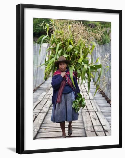 Peru, a Woman with a Load of Maize Stalks to Feed to Her Pigs Crosses the Urubamba River-Nigel Pavitt-Framed Photographic Print