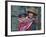 Peru, a Young Peruvian Girl-Nigel Pavitt-Framed Photographic Print