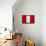 Peru Flag Design with Wood Patterning - Flags of the World Series-Philippe Hugonnard-Framed Stretched Canvas displayed on a wall