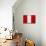 Peru Flag Design with Wood Patterning - Flags of the World Series-Philippe Hugonnard-Mounted Art Print displayed on a wall