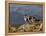 Peru, Llamas in the Bleak Altiplano of the High Andes Near Colca Canyon-Nigel Pavitt-Framed Premier Image Canvas