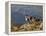 Peru, Llamas in the Bleak Altiplano of the High Andes Near Colca Canyon-Nigel Pavitt-Framed Premier Image Canvas