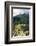 Peru, Machu Picchu, Morning-John Ford-Framed Photographic Print