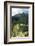 Peru, Machu Picchu, Morning-John Ford-Framed Photographic Print