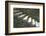 Peru, Machu Picchu, Stairs-John Ford-Framed Photographic Print