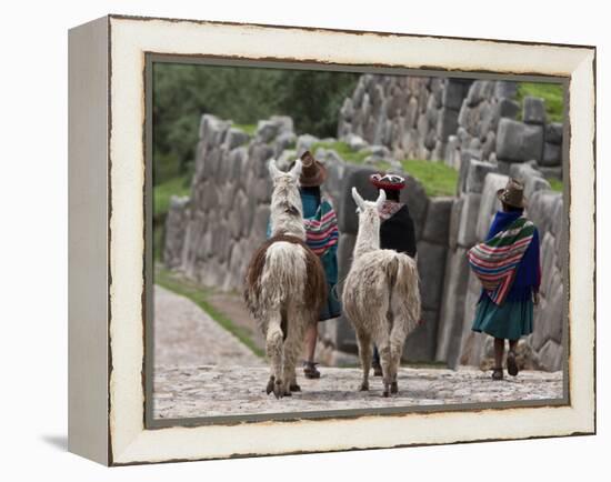 Peru, Native Indian Women Lead their Llamas Past the Ruins of Saqsaywaman-Nigel Pavitt-Framed Premier Image Canvas