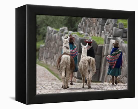 Peru, Native Indian Women Lead their Llamas Past the Ruins of Saqsaywaman-Nigel Pavitt-Framed Premier Image Canvas