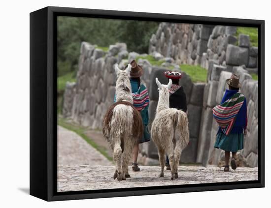 Peru, Native Indian Women Lead their Llamas Past the Ruins of Saqsaywaman-Nigel Pavitt-Framed Premier Image Canvas