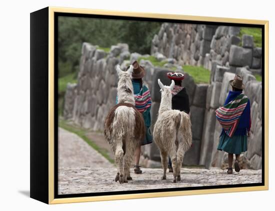 Peru, Native Indian Women Lead their Llamas Past the Ruins of Saqsaywaman-Nigel Pavitt-Framed Premier Image Canvas