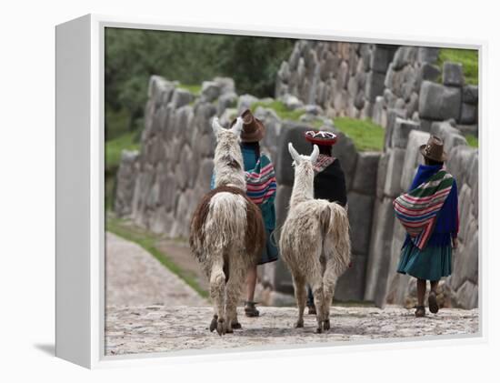 Peru, Native Indian Women Lead their Llamas Past the Ruins of Saqsaywaman-Nigel Pavitt-Framed Premier Image Canvas