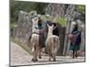 Peru, Native Indian Women Lead their Llamas Past the Ruins of Saqsaywaman-Nigel Pavitt-Mounted Photographic Print