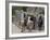 Peru, Native Indian Women Lead their Llamas Past the Ruins of Saqsaywaman-Nigel Pavitt-Framed Photographic Print