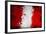 Peruan Flag-igor stevanovic-Framed Premium Giclee Print