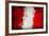 Peruan Flag-igor stevanovic-Framed Premium Giclee Print