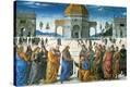 Stretched Canvas Print