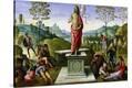 Stretched Canvas Print