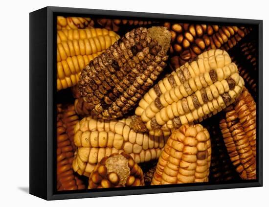 Peruvian Corn, Peru-Pete Oxford-Framed Premier Image Canvas
