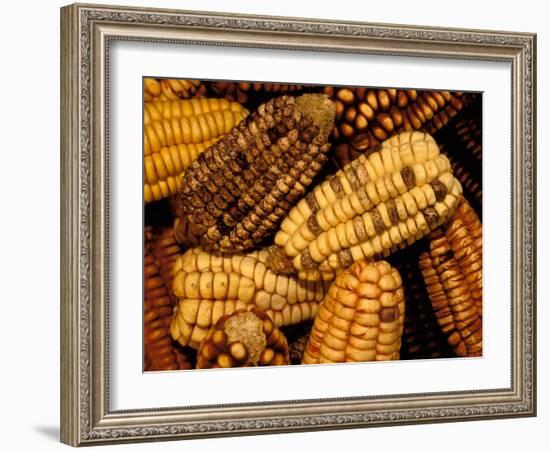 Peruvian Corn, Peru-Pete Oxford-Framed Photographic Print